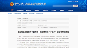 爱游戏网站首页-爱游戏（中国）公司入选全国第一批专精特新“小巨人”企业