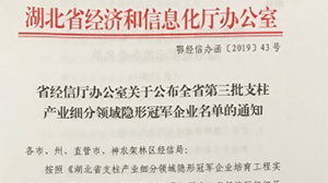 爱游戏网站首页-爱游戏（中国）电子被认定为“湖北省支柱产业细分领域隐形冠军示范企业”